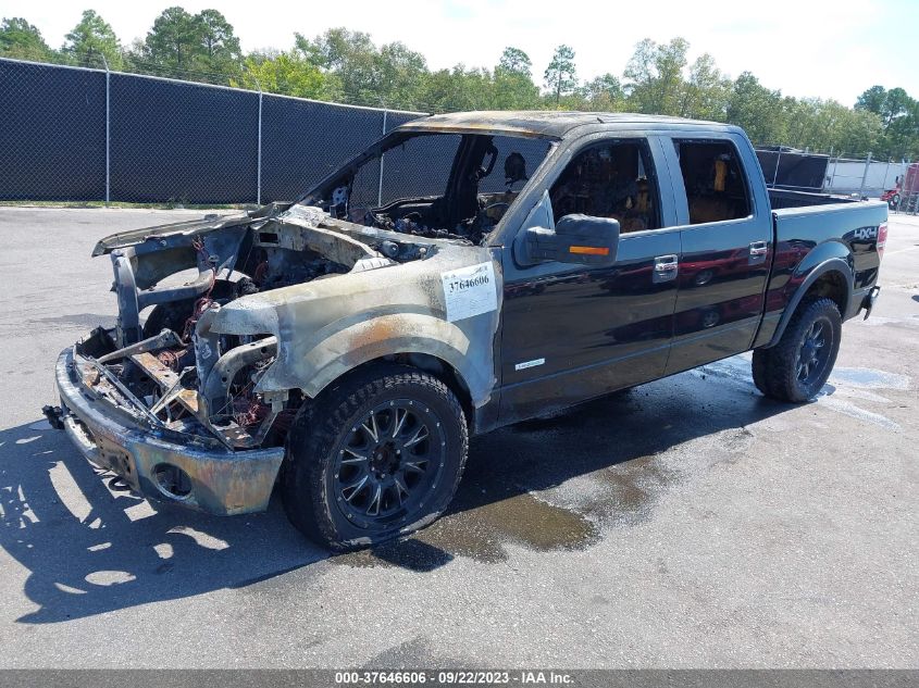 2013 FORD F-150 XL/XLT/FX4/LARIAT - 1FTFW1ET0DKE32647