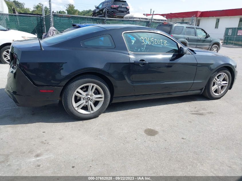 2014 FORD MUSTANG V6 - 1ZVBP8AM2E5331240