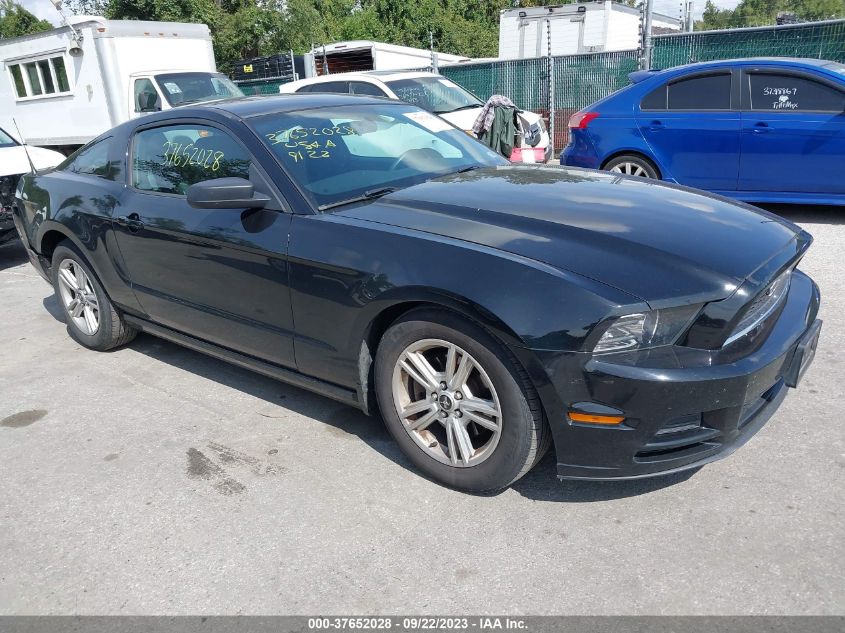 2014 FORD MUSTANG V6 - 1ZVBP8AM2E5331240