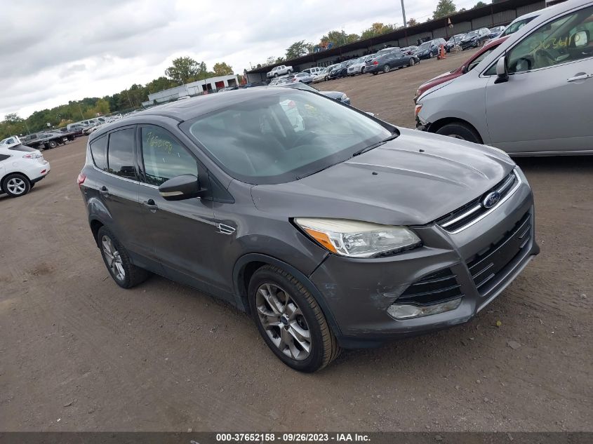 2013 FORD ESCAPE SEL - 1FMCU9H91DUA72845