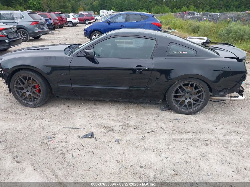 1ZVBP8CF9E5240903 2014 FORD MUSTANG, photo no. 14