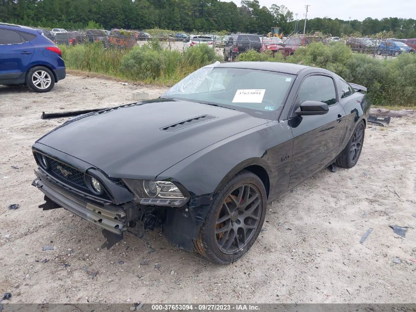 1ZVBP8CF9E5240903 2014 FORD MUSTANG, photo no. 2