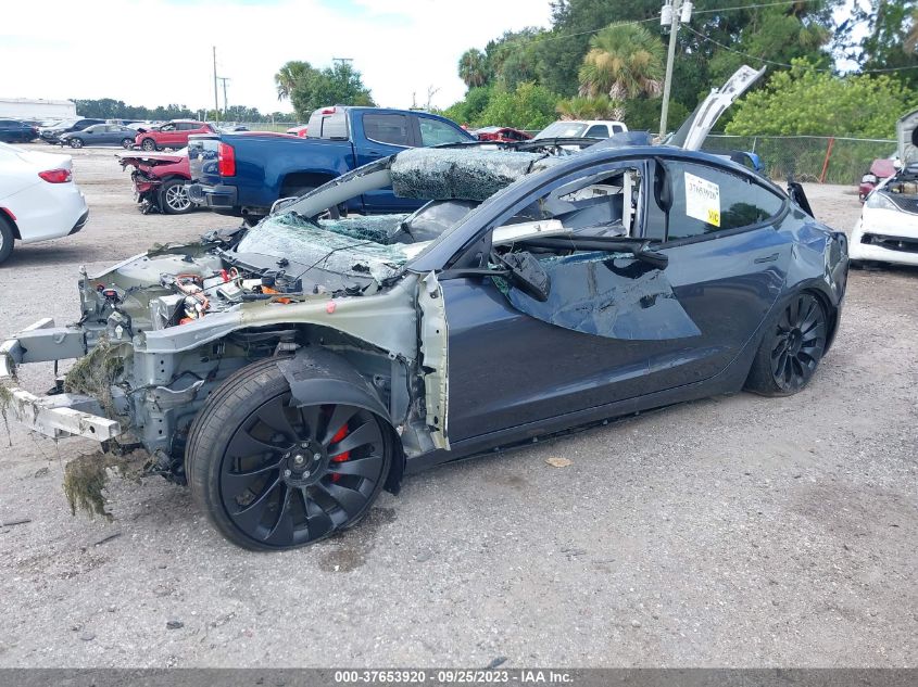 2023 TESLA MODEL 3 - 5YJ3E1ECXPF464612
