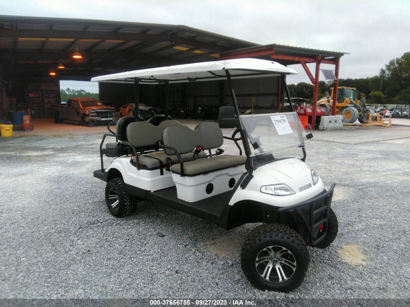 7LWDFAD05P1110809 ADVANCED EV GOLF CART LSV 2023