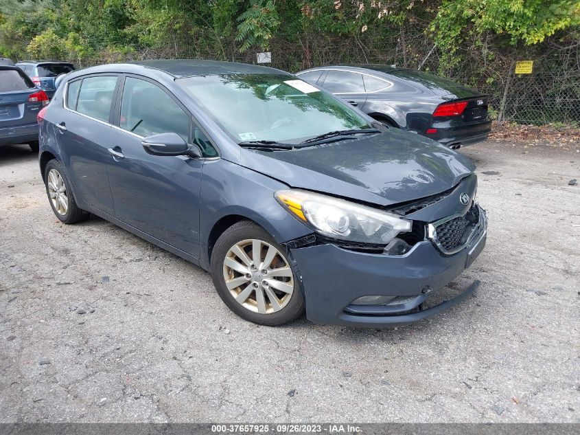 2015 KIA FORTE 5-DOOR EX - KNAFX5A87F5292150