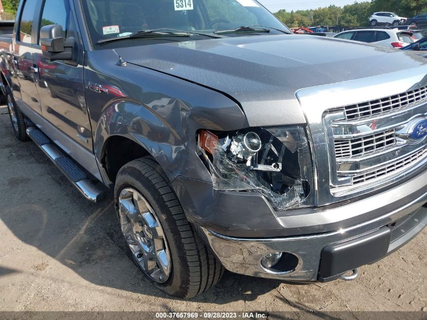 2014 FORD F-150 XL/XLT/FX4/LARIAT - 1FTFW1ET7EKF41902