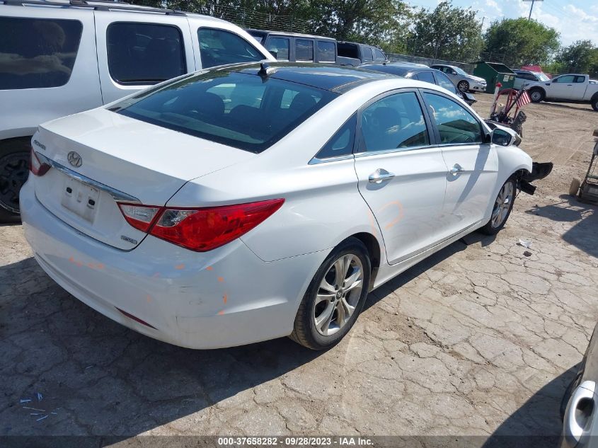 2013 HYUNDAI SONATA LIMITED PZEV W/WINE INT - 5NPEC4AC5DH646754