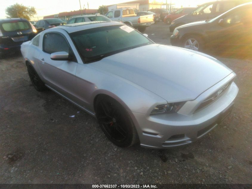 2013 FORD MUSTANG V6 - 1ZVBP8AM0D5218823