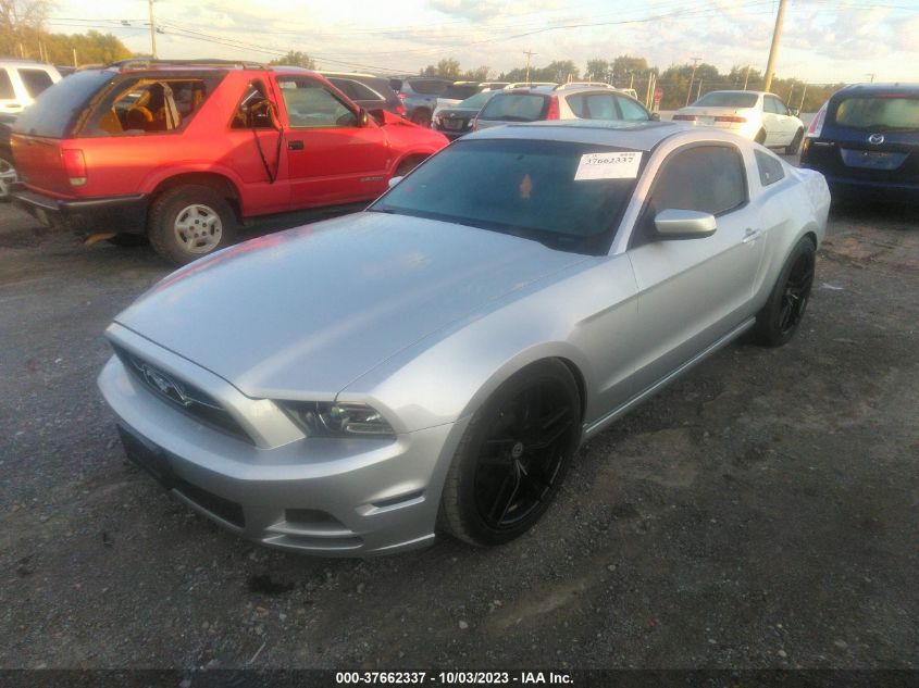 2013 FORD MUSTANG V6 - 1ZVBP8AM0D5218823