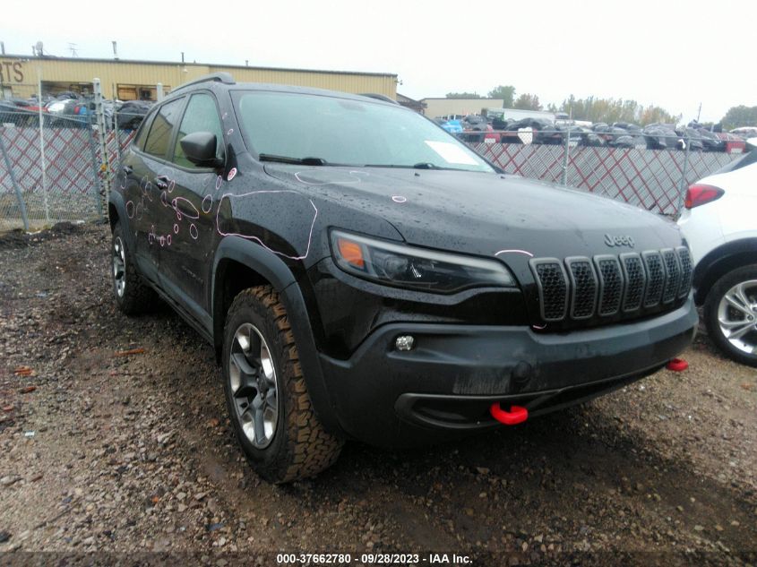 2019 JEEP CHEROKEE TRAILHAWK - 1C4PJMBX0KD246247