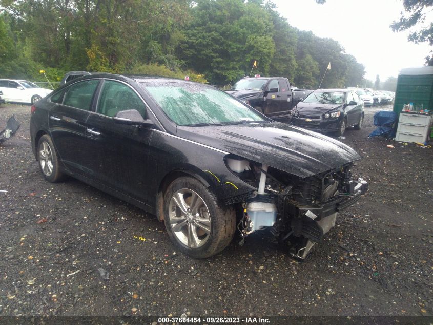 2019 HYUNDAI SONATA SEL - 5NPE34AFXKH798021