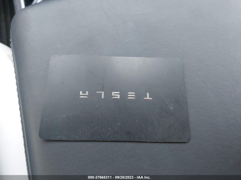 2019 TESLA MODEL 3 RANGE - 5YJ3E1EA9KF509188