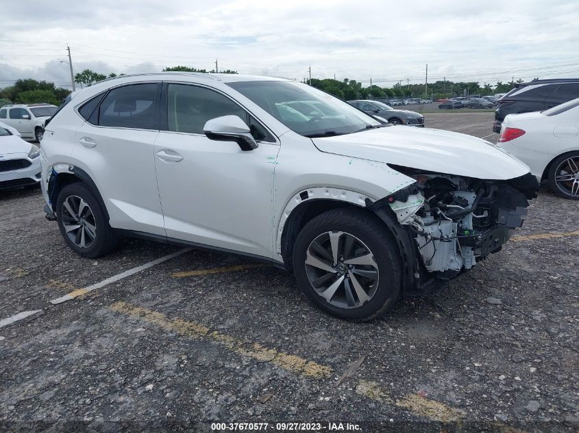JTJYARBZ8K2149759 LEXUS NX NX 300 2019