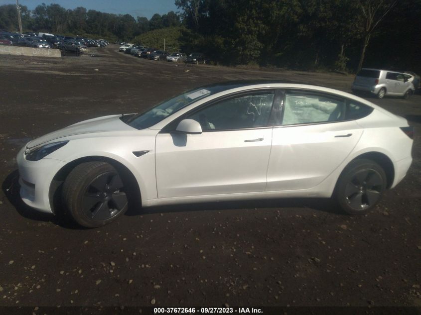 2023 TESLA MODEL 3 - 5YJ3E1EA9PF434239