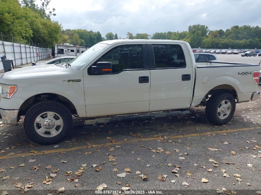 2013 FORD F-150 XL/XLT/FX4/LARIAT - 1FTFW1EF9DFD40794