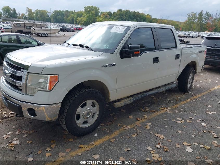 2013 FORD F-150 XL/XLT/FX4/LARIAT - 1FTFW1EF9DFD40794