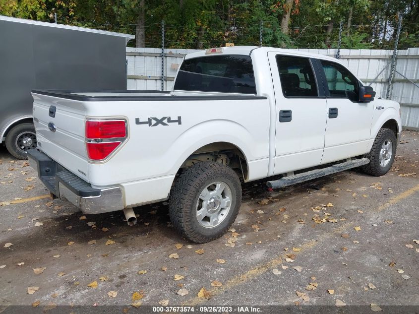 2013 FORD F-150 XL/XLT/FX4/LARIAT - 1FTFW1EF9DFD40794