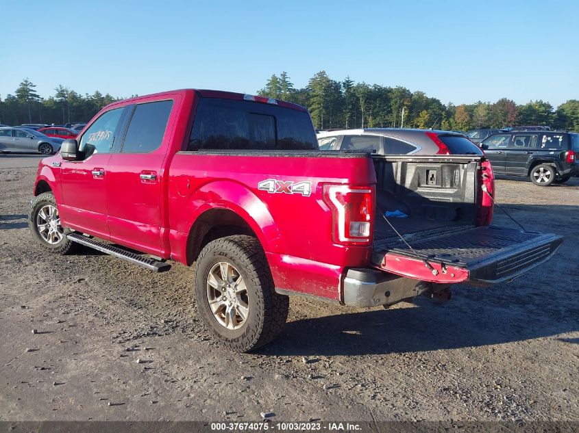 2015 FORD F-150 XLT/XL - 1FTEW1E83FKF10879