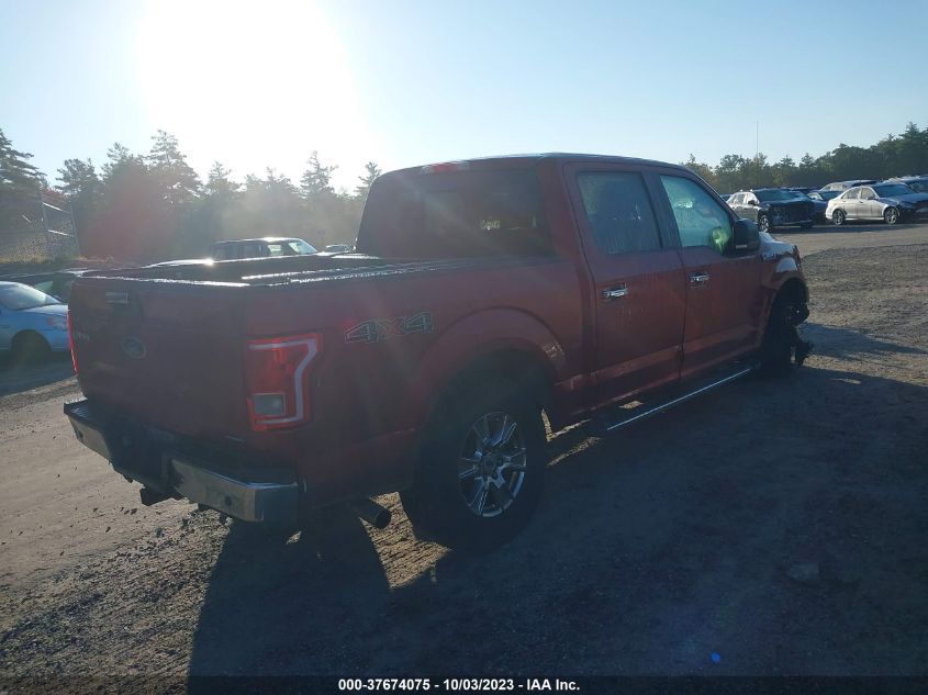 2015 FORD F-150 XLT/XL - 1FTEW1E83FKF10879