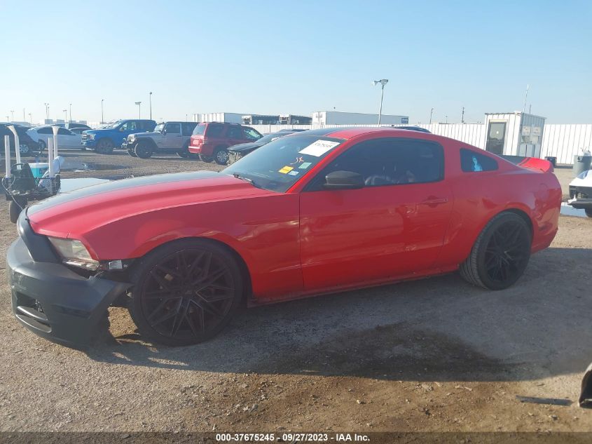 2013 FORD MUSTANG V6 - 1ZVBP8AM9D5274789