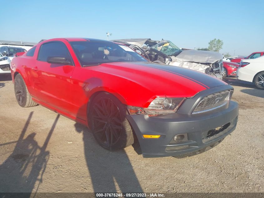 2013 FORD MUSTANG V6 - 1ZVBP8AM9D5274789