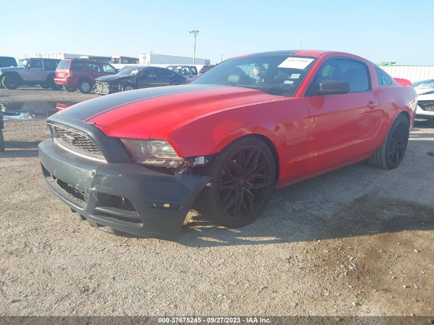 2013 FORD MUSTANG V6 - 1ZVBP8AM9D5274789