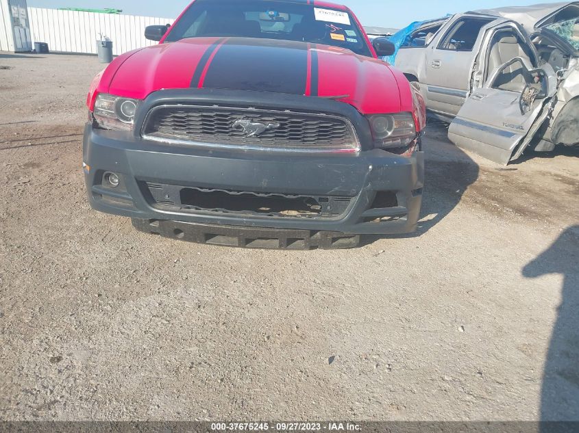 2013 FORD MUSTANG V6 - 1ZVBP8AM9D5274789