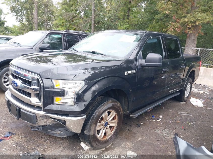 2015 FORD F-150 XLT/XL/LARIAT/PLATINUM - 1FTEW1EF8FFB00649