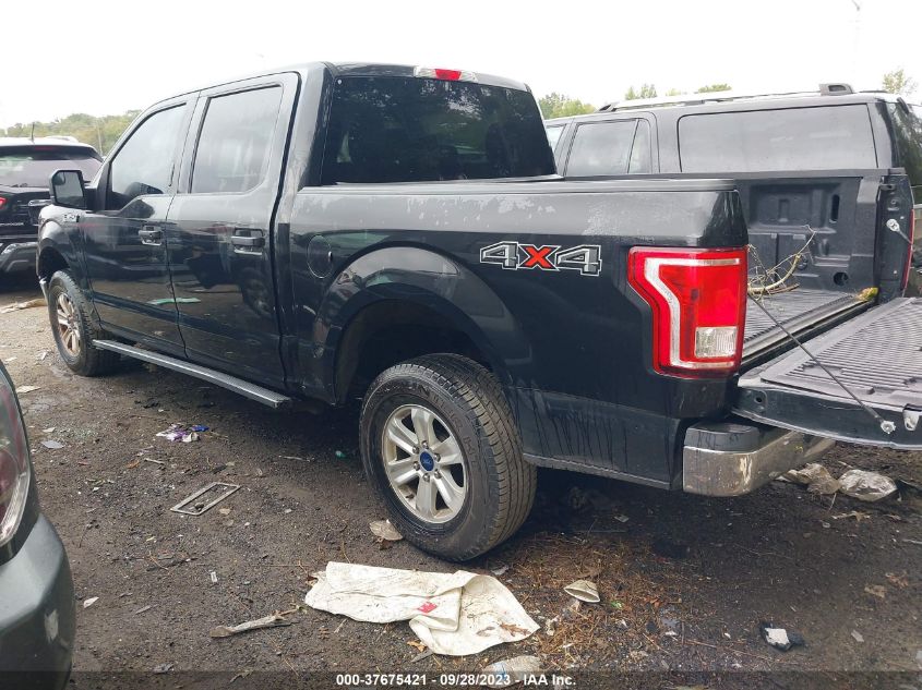 2015 FORD F-150 XLT/XL/LARIAT/PLATINUM - 1FTEW1EF8FFB00649