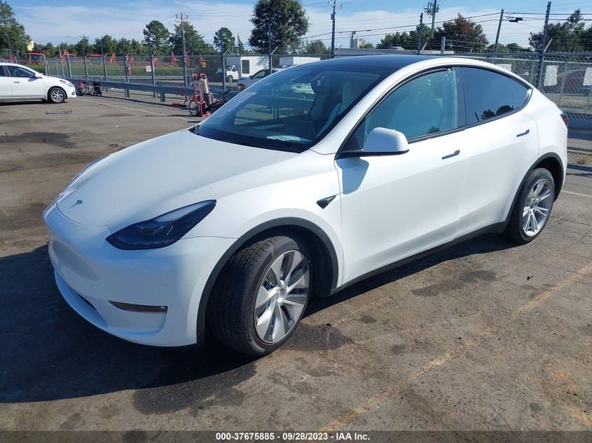 VIN 7SAYGDEE2PF770239 2023 TESLA MODEL Y LONG RANGE