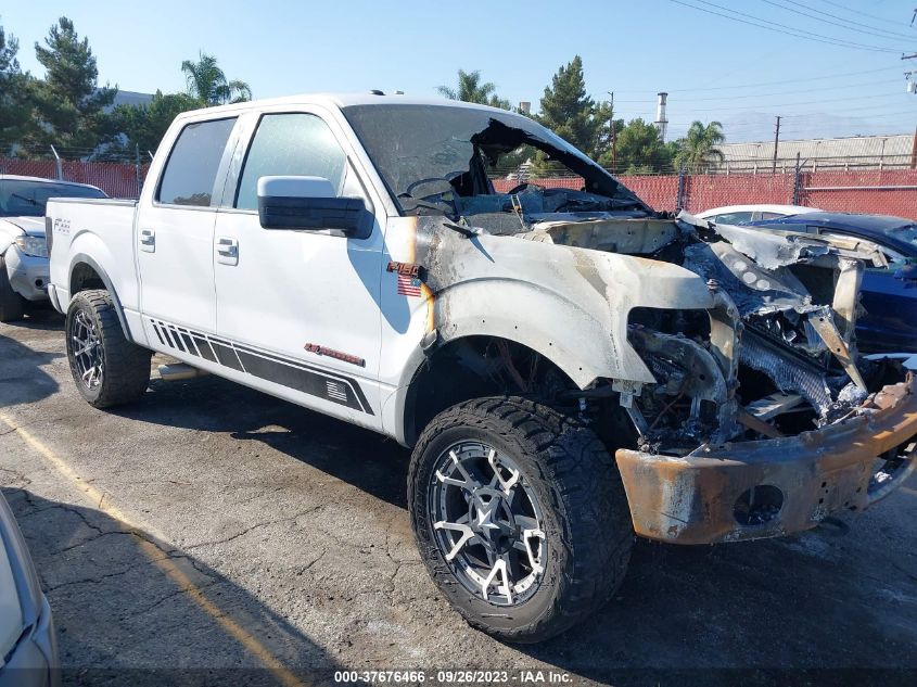 2014 FORD F-150 XL/XLT/FX4/LARIAT - 1FTFW1ET2EKF54900