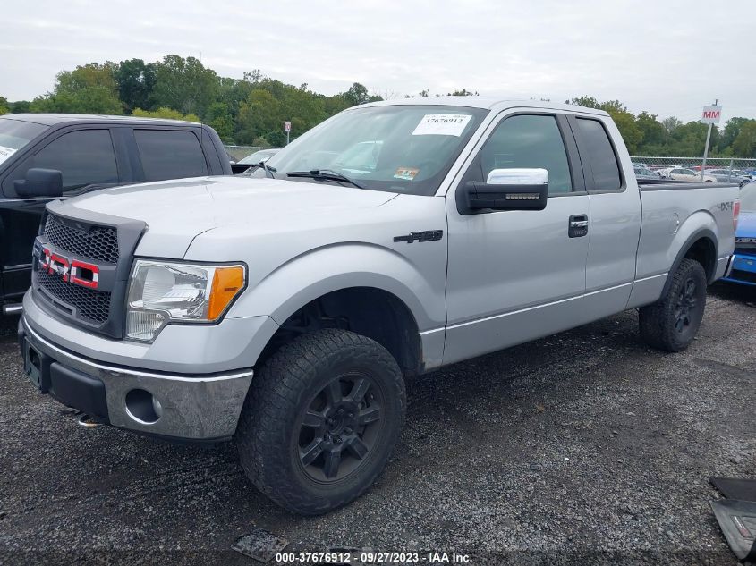 2013 FORD F-150 XL/STX/XLT/FX4/LARIAT - 1FTFX1EF2DFA36221