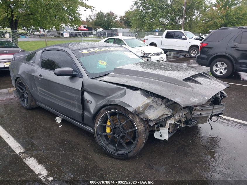 2013 FORD MUSTANG GT - 1ZVBP8CF8D5220124