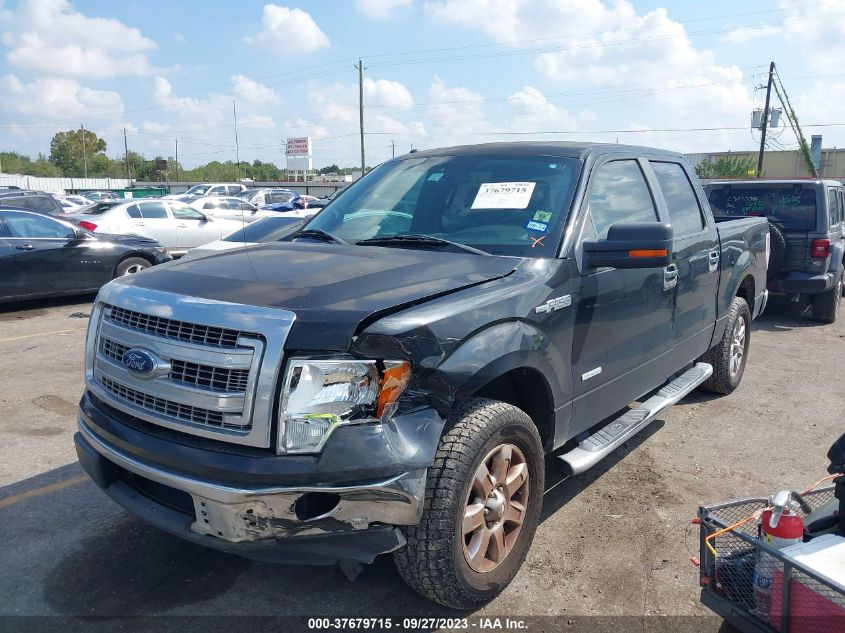 2013 FORD F-150 XL/XLT/FX2/LARIAT - 1FTFW1CT2DKD05921