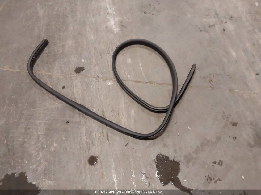 2014 FORD FOCUS SE - 1FADP3K23EL451089