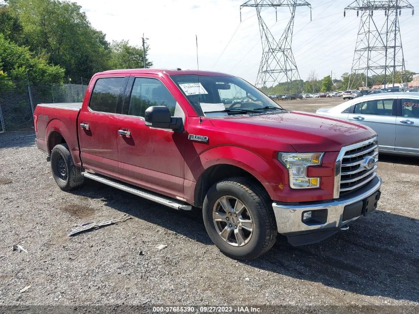 2015 FORD F-150 XLT/XL/LARIAT/PLATINUM - 1FTEW1EF9FFB67633