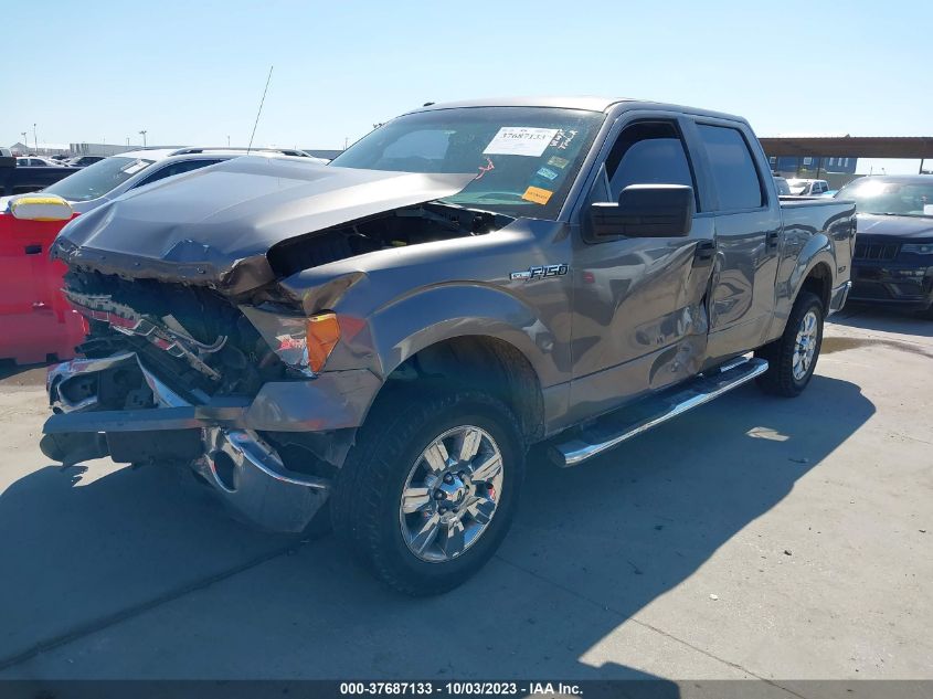 2014 FORD F150 - 1FEFW1CFXEKG02754