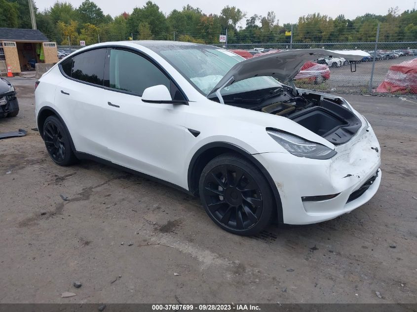 2021 TESLA MODEL Y - 5YJYGDEE3MF184996