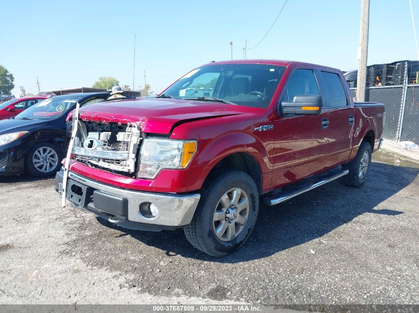 2014 FORD F-150 XL/XLT/STX/FX4/LARIAT - 1FTFW1EFXEFA14410