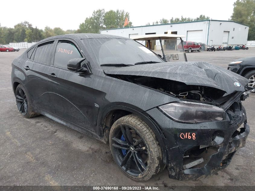 5YMKW8C52F0G93816 2015 BMW X6, photo no. 1