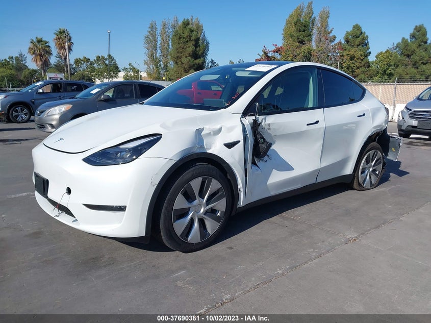 2023 TESLA MODEL Y U   U(VIN: 7SAYGDEE1PF687451