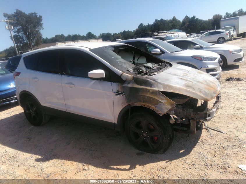 2013 FORD ESCAPE SE - 1FMCU0GX2DUD83373