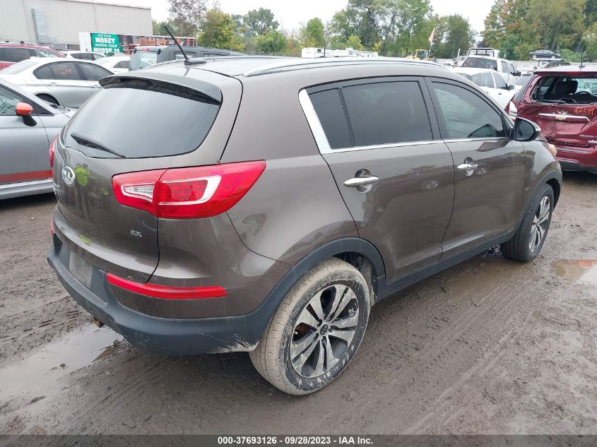 2013 KIA SPORTAGE EX - KNDPC3A21D7381393