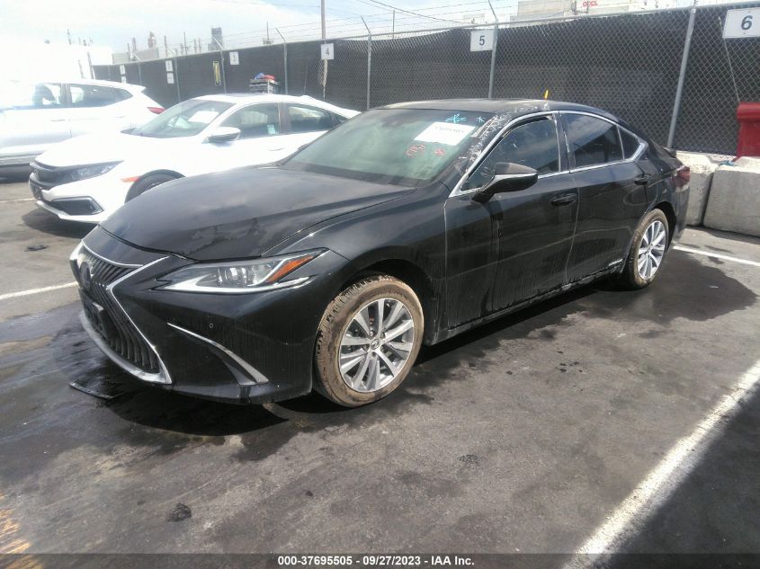 2020 LEXUS ES ES 300H 58AD21B17LU008573