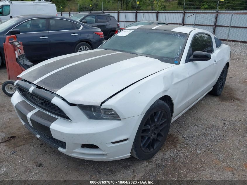 2014 FORD MUSTANG V6 - 1ZVBP8AM1E5231422