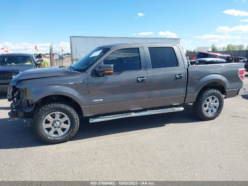 2013 FORD F-150 XL/XLT/FX4/LARIAT - 1FTFW1ET8DKF47786