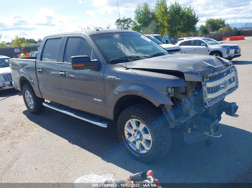 2013 FORD F-150 XL/XLT/FX4/LARIAT - 1FTFW1ET8DKF47786