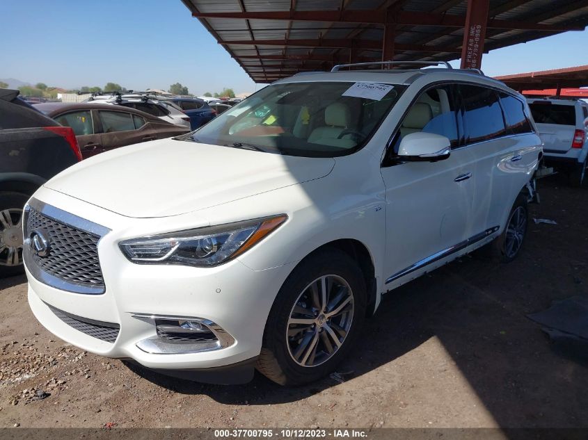 5N1DL0MN6KC563842 Infiniti QX60 LUXE/PURE 2