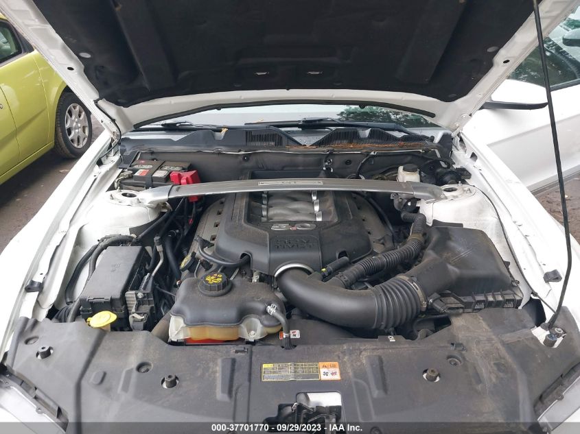 2013 FORD MUSTANG GT - 1ZVBP8FF2D5207560