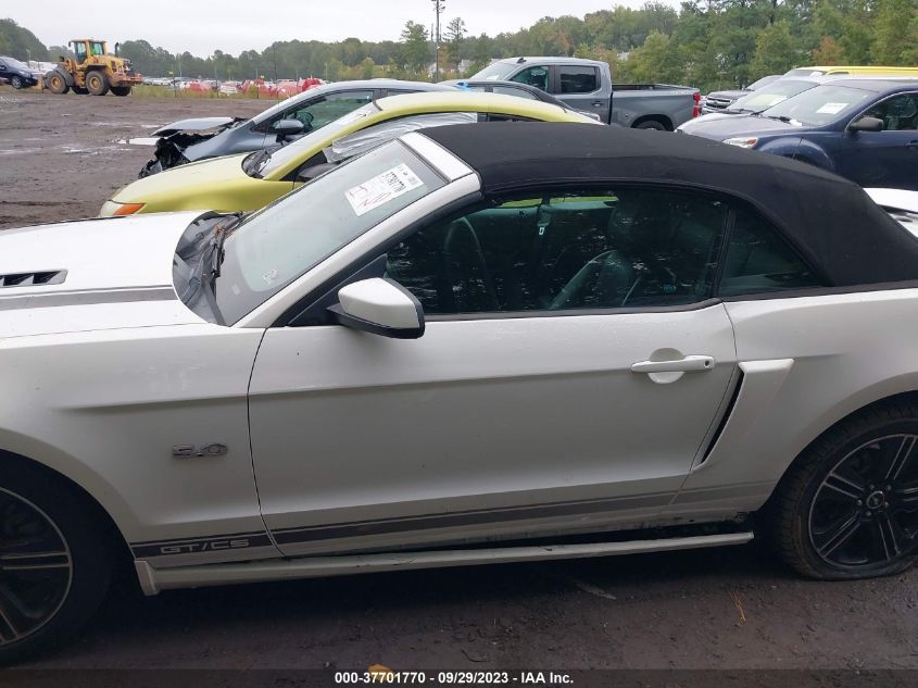 2013 FORD MUSTANG GT - 1ZVBP8FF2D5207560
